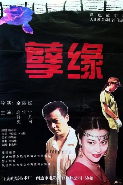 孽缘 — film poster